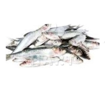 Karas malý nekuchaný 1 kg